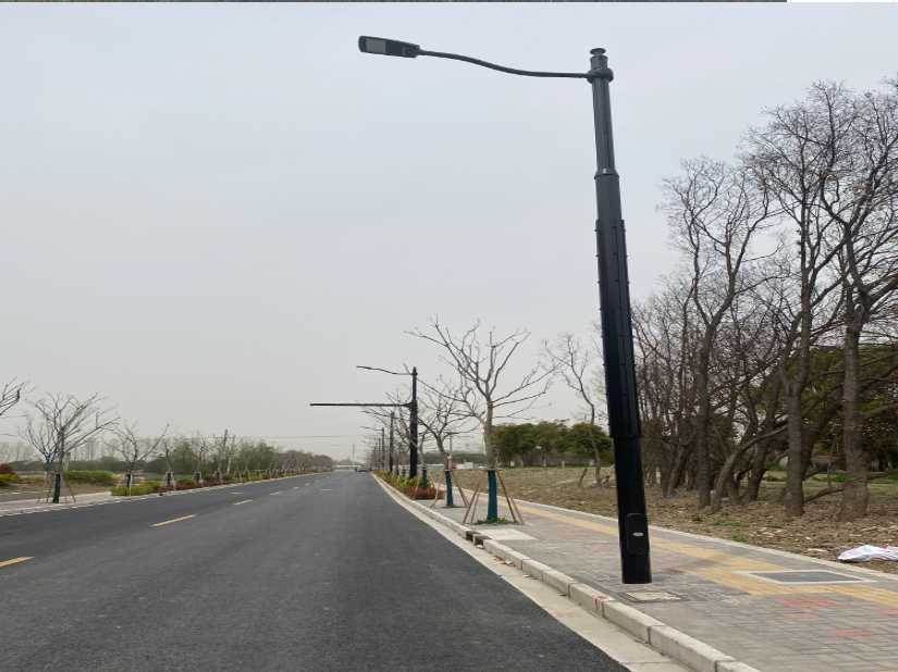 丹凤县上海综合杆 太阳能路灯工程